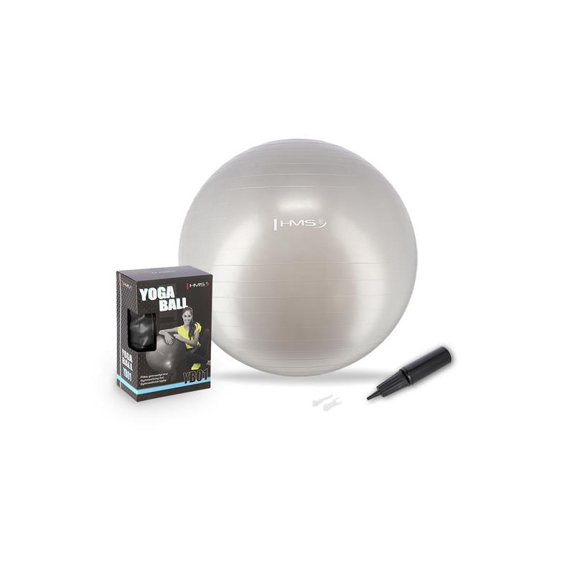 Yb01 New 65Cm Gray Piłka Gimnastyczna Hms