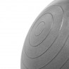 Yb02 New 55Cm Graphitte Anti-Burst Piłka Gimnastyczna Hms