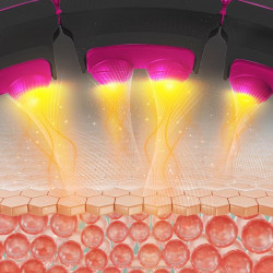 Zestaw Hula Hop Magnetyczny Black/Pink Hhm16 Z Licznikiem Hms + Pas Wyszczuplający Br163 Black