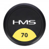 Hg Pro 70 Kg Hantla Gumowana Hms