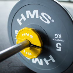 Tsn50 Talerz Na Sprzęt Do Treningu Siłowego I Fitness Typu Nakładka 2 X 0.5 Kg Hms