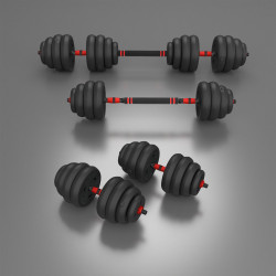 Weight Set 6-in-1 Pro Set 40Kg HMS Sgn140 (2 Pieces)