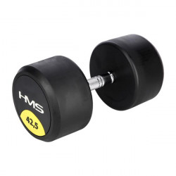 Hg Pro 42.5 Kg Hantla Gumowana Hms