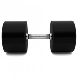 Hpc 50 Kg Polyurethane Dumbbell Cpu Hms