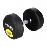 Hg Pro 22.5 Kg Hantla Gumowana Hms