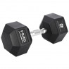 Hex Pro 40 Kg Hantla Hms
