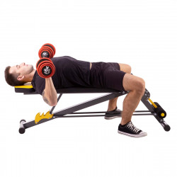 Roman Bench HMS Premium Lsr8311