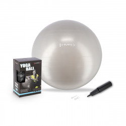 Yb01 New 65Cm Gray Piłka Gimnastyczna Hms