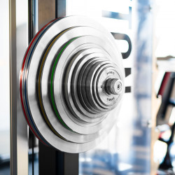 Tos02 Talerz Olimpijski Stalowy Kalibrowany 0.25 Kg Hms