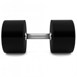 Hpc 45 Kg Polyurethane Dumbbell Cpu Hms