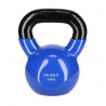 Blue Kettlebell Iron Covered with Vinyl Hms Knv10