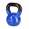 Blue Kettlebell Iron Covered with Vinyl Hms Knv10