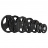 Tok20 Talerz Olimpijski Ogumowany 20 Kg Hms