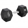 Hex Pro 25 Kg Hantla Hms