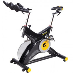Sw7200 Rower Stacjonarny Spiningowy 22Kg Hms Premium